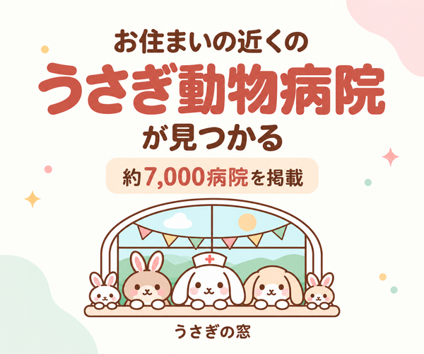 窓辺に並んだ、うさぎたちのイラスト